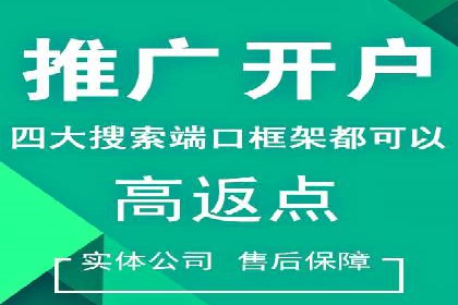 提升网站流量：SEO在百度推广的实战案例